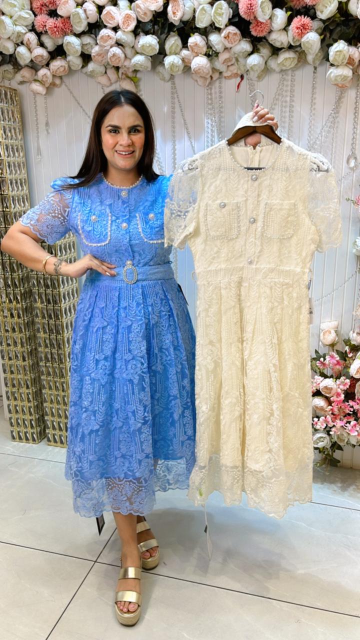 Gorgeous Chicken Work Dress PC1075
