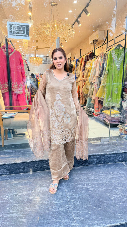 Elegant Beige Embroidered Ethnic Set PC3418