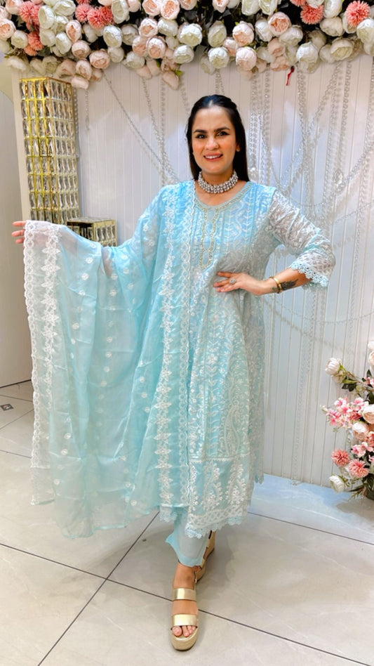 Beautiful Embroidery Suit PC1316