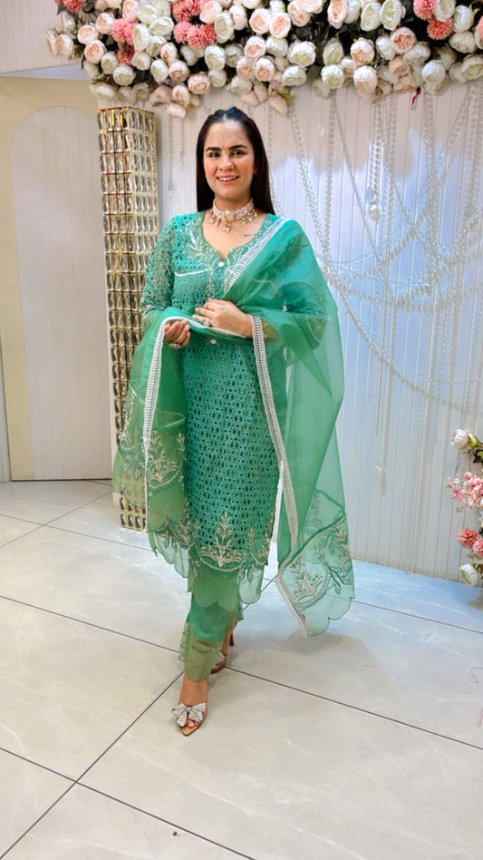 Beautiful Embroidery With Cut Work Suit PC1185