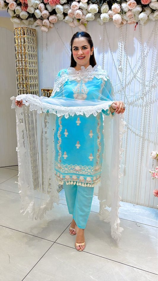 Beautiful Lace Work Suit PC1211