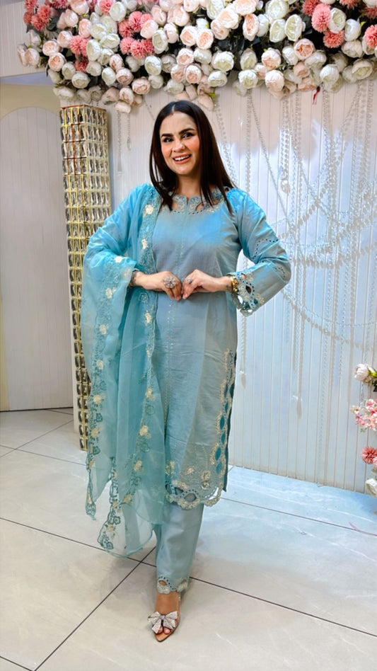 Beautiful Suit With Cutout Work PC1174