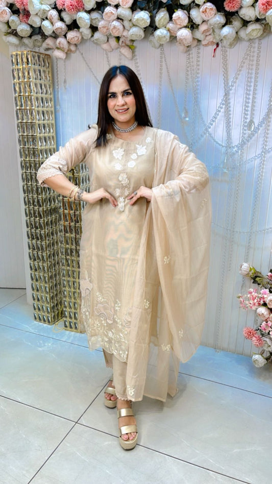 Beautiful Suit With Embroidery Work PC1257