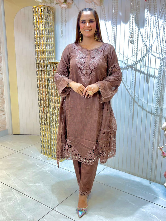 Beautiful Suit With Lace Work  PC1474
