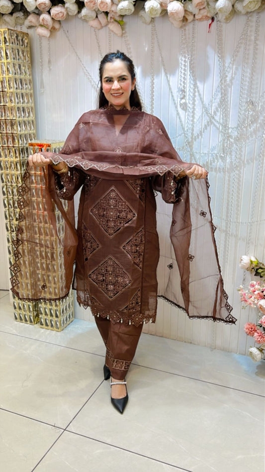 Beautiful V-Neck Floral Cut Work Suit PC1190