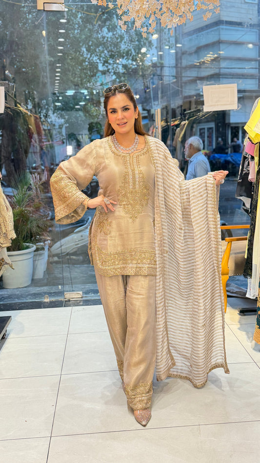 Beutiful elegant partywear suit pc3313