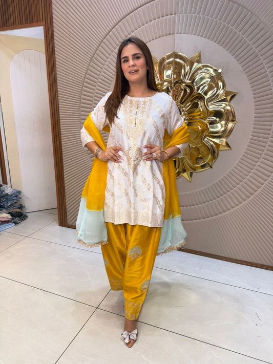 Beautiful elegant suit pc 2804