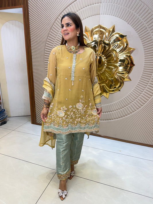 Beautiful elegant suit pc 2607