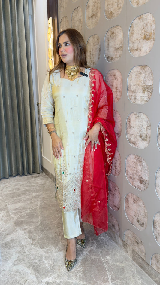 Elegant tissue kurta and pant set paired with a vibrant red embroidered dupatta  pc3805