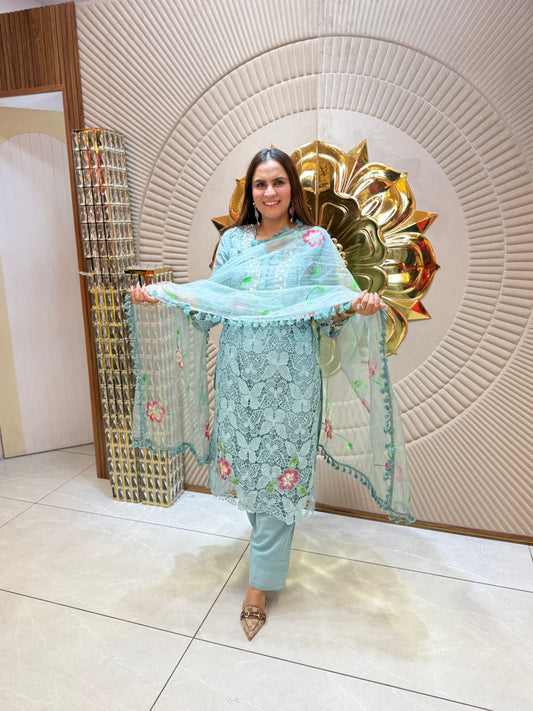 Pretty Suit With Beautiful Butterly Design PC1745