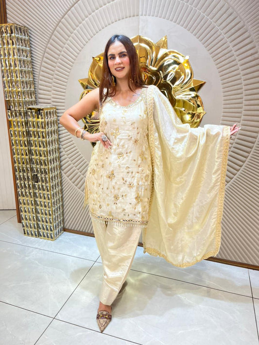 Stunning Party Wear Suit PC1753