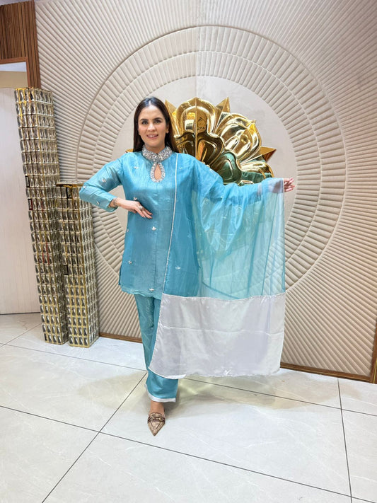 Beautiful Suit With Studded Work PC1799