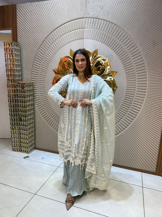 Royal Looking Pastel Suit With Fully Work PC1901