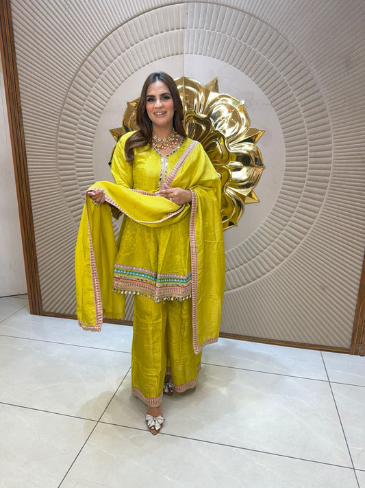 Elegant Suit With Lace Work PC2675