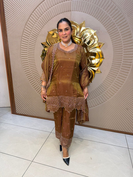 Elegant Brown Suit With With Lace Work PC2716