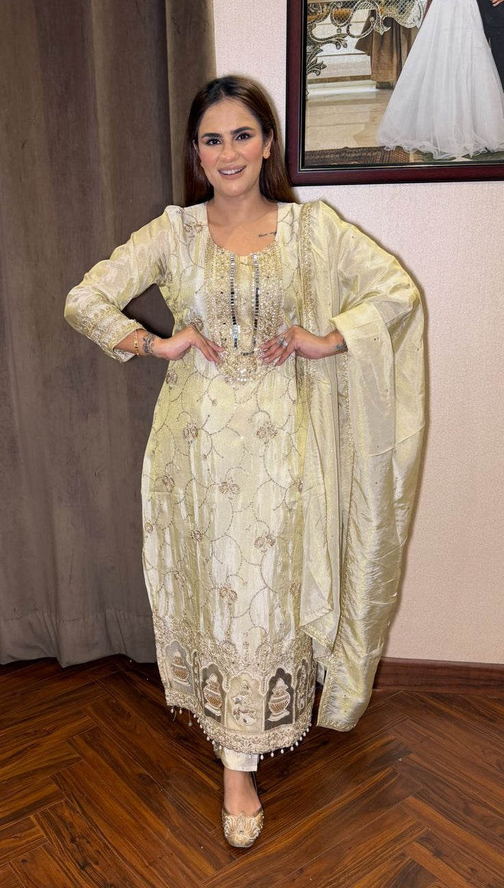 Beautiful Party Wear Long Suit FT2769