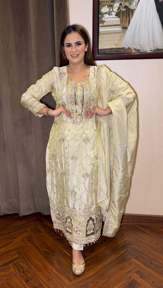 Beautiful Party Wear Long Suit FT2769