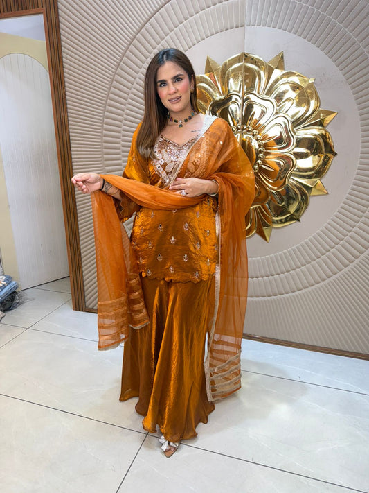 Elegant Velvet Suit PC2838