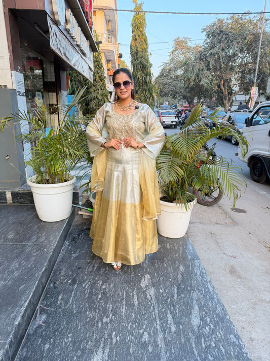 Elegant Party Wear Dress PC2615