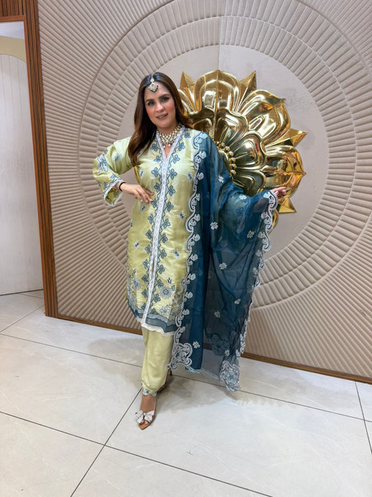 Beautiful Cut Work Suit PC2629