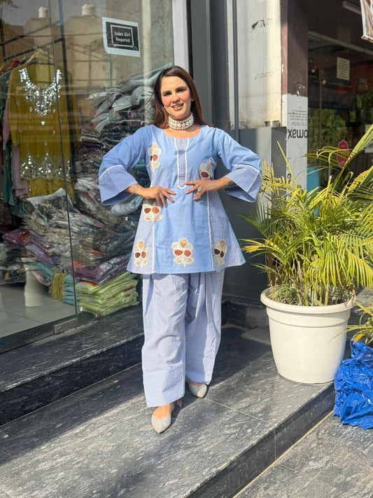 Beautiful Daily Wear Co-Ord Set PC2917