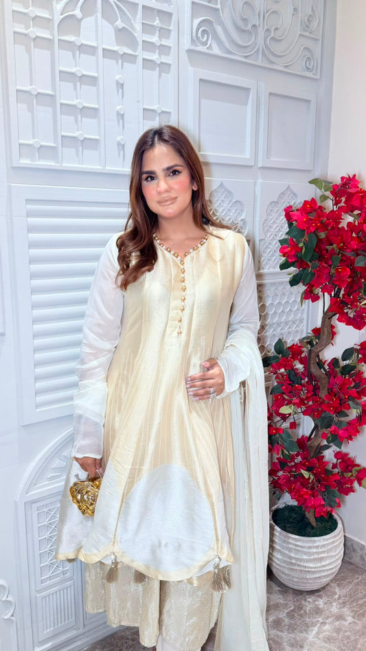 Beutiful elegant pure anarkali suit pc3342