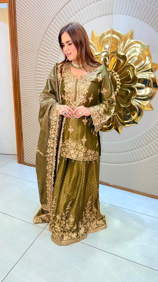 beautiful elegant partywear suit pc3397