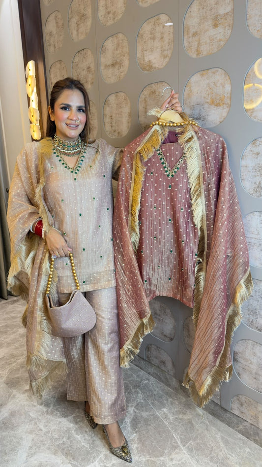 Beutiful elegant partywear suit with potli pc3354