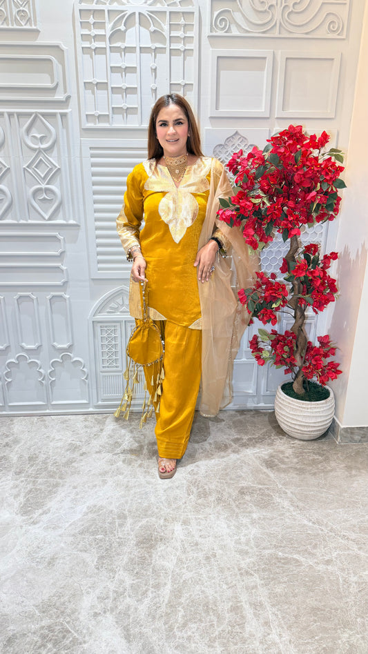 Beutiful elegant partywear suit with potli pc3627