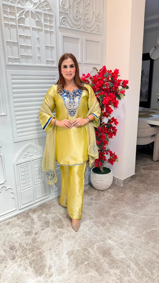 Beutiful elegant suit pc3366